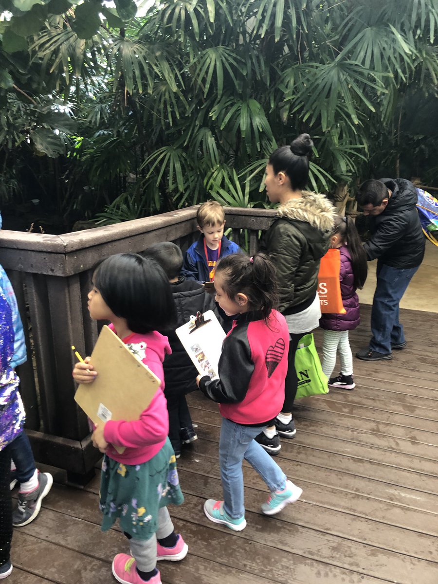 Our @hibbardcps kindergartners had a great time @lincolnparkzoo. Thank you to the #ZooExplorers program for such a fun day!