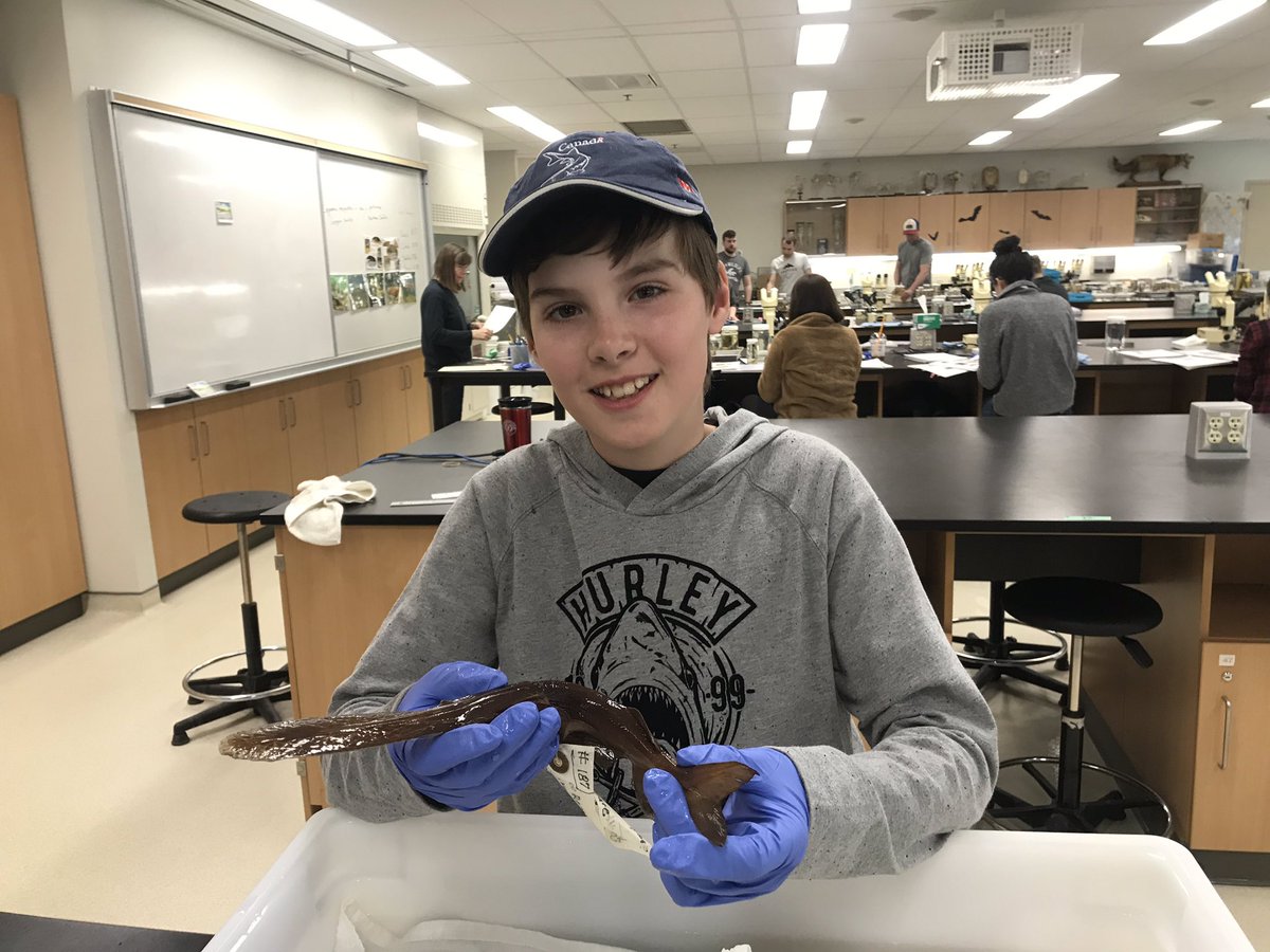 A whole new way to “take a kid fishing”. #takeyourkidtoworkday #fish #identification #icthyology #fishes #taxonomy #science #sciencekids #uofguelph #royalontariomuseum #fisheries #future #workcabin #uofguelph
