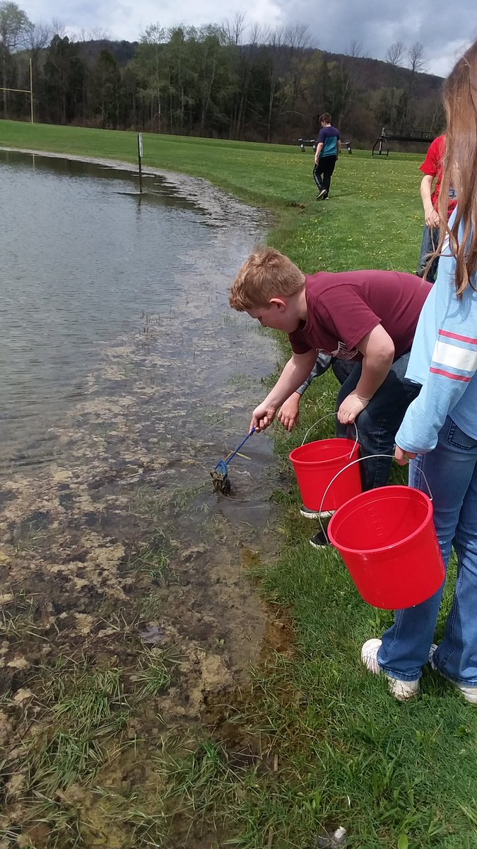 Mel_Belanger63's tweet photo. After two days of hard work on the NYS math test, a much needed walk around the school pond was needed. #wccsms #ecosystemhunt https://t.co/cxKFxTZQlG