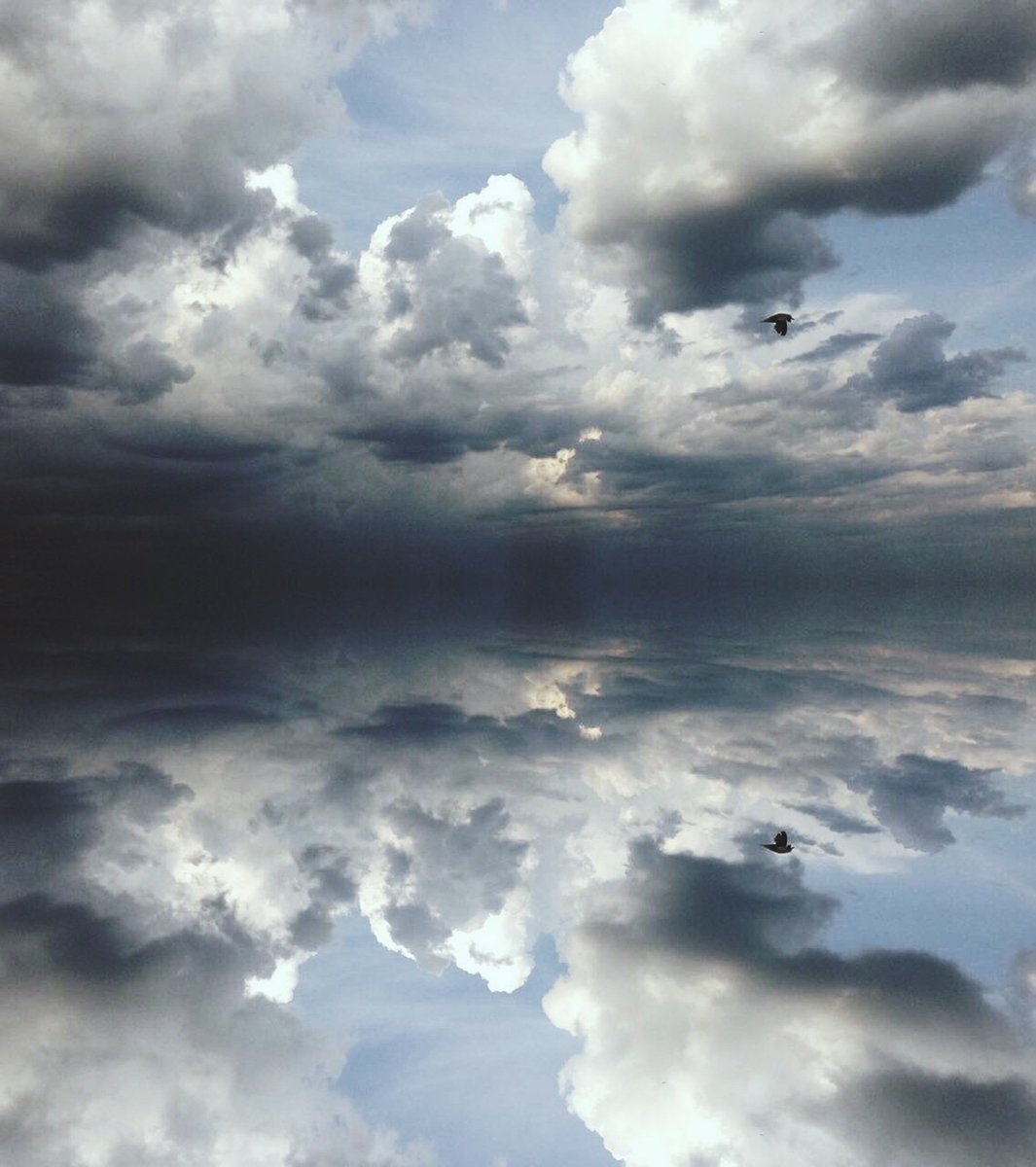 SLSSArts's tweet image. Gr 12 Photography (c) Myra