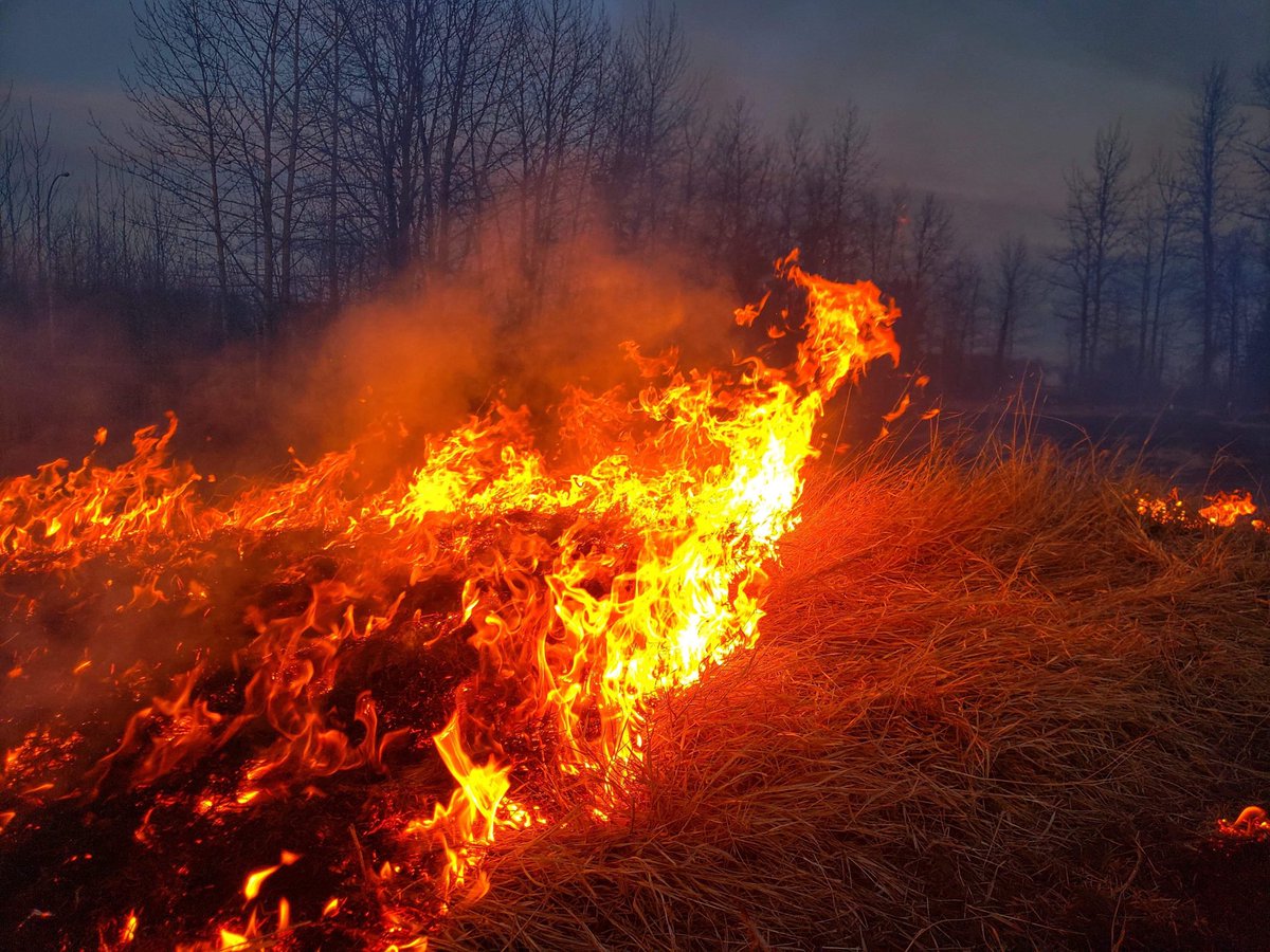 chiefcoutts's tweet photo. From this on April first to snow May 2.  Changes are so quick and violent now.  Stay ready folks.  Threat will be back by Friday.  This #crazyweather #slavelake #slavefire https://t.co/zVcHkpvkCg