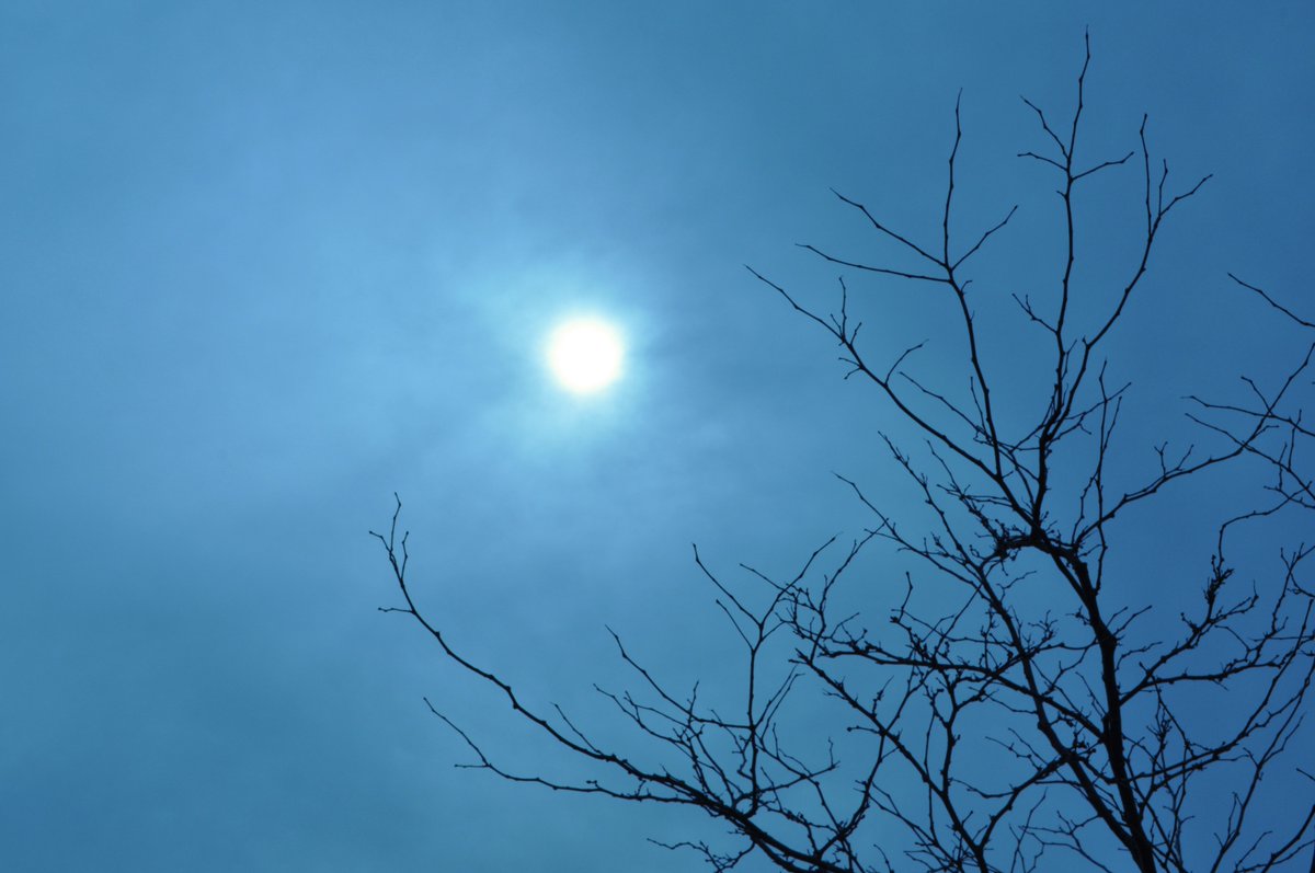 SLSSArts's tweet image. Grade 11 Photography (c) Nour