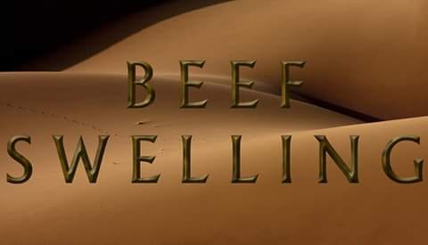 inherentcharlie's tweet image. I&apos;m in a Dune FB group and someone retranslated the japanese subtitles into english and got &apos;beefswelling&apos; intstead of &apos;worm-sign&apos; so now the group is all about beef swelling and some old time members are really upset about this
facebook.com/groups/2105243…