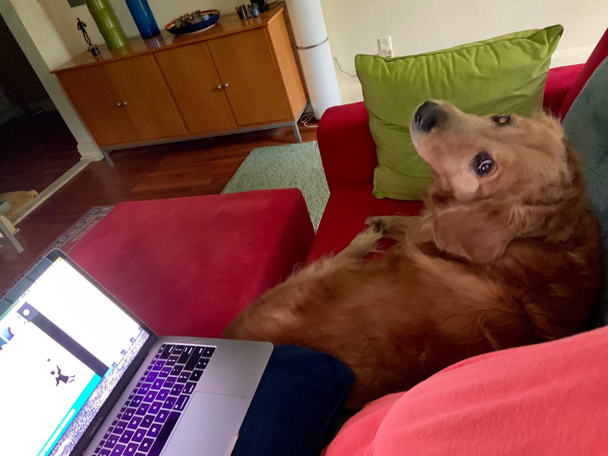 kkcaseman's tweet image. Webinaring in prep for #IRLDC2019 with my #ThunderBuddy