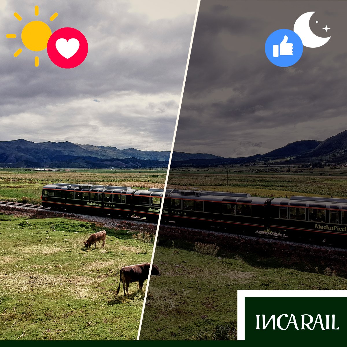 Inca_Rail's tweet photo. Are you planning your trip to Machu Picchu? 🎉 
It does not matter if you want to take the train in the morning or in the afternoon, we have schedules adapted to all travelers! 🕔 
From 6:00 a. m. to 7:30p. m., we wait for you aboard our trains 🚞.
https://t.co/hoPhZsJAAt https://t.co/DgSIqUmSO1