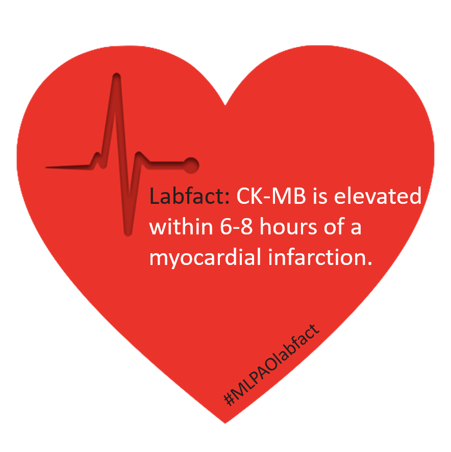 MLPAOnews's tweet photo. #MedLabWeek may be over, but the fun doesn't have to stop! #LabfactFriday starts today, where we'll share a #labfact every Friday. If you have one to share, email or message us your #labfact! Thank you Beth Deer for sharing your #labfact! https://t.co/cJ6irRjSat