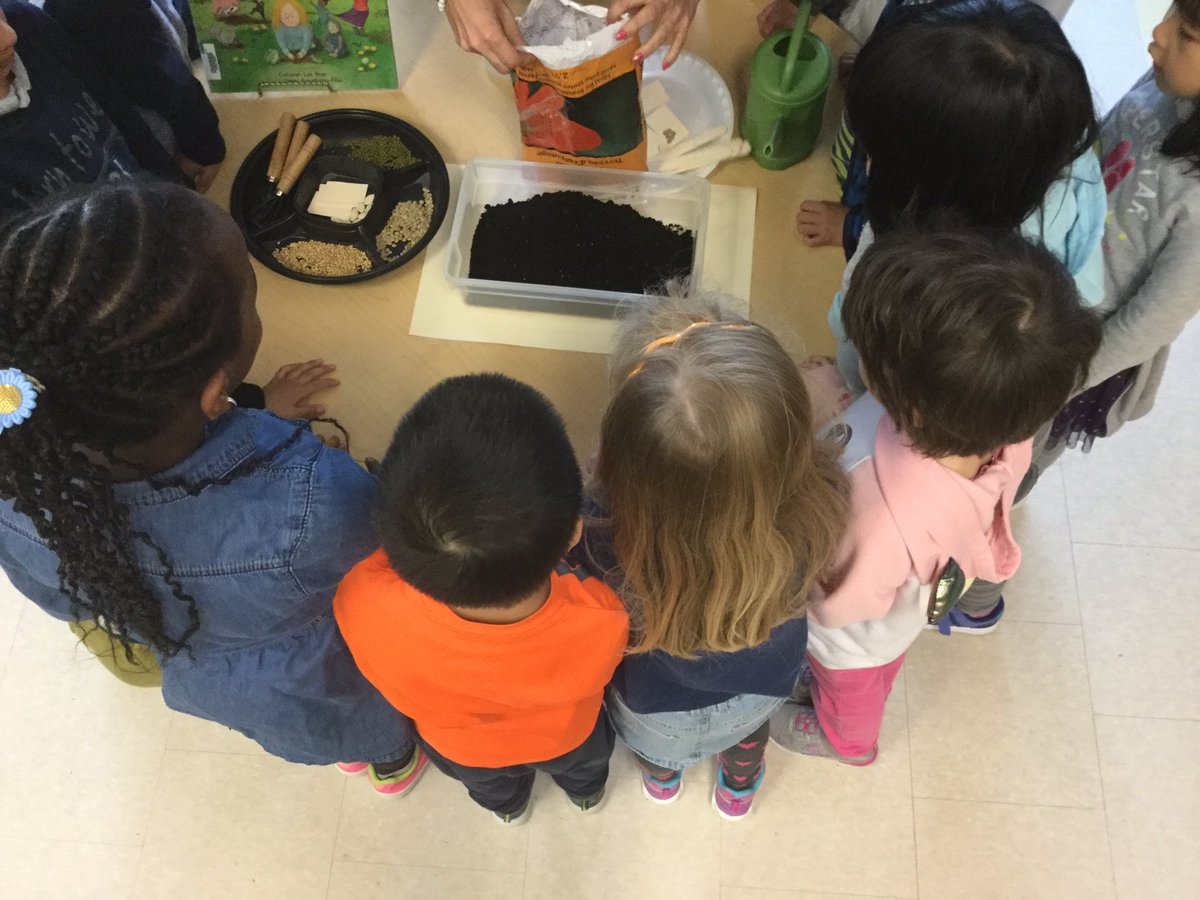 learninginrm125's tweet photo. Planting different types of seeds: wheat, lentils, pumpkin seeds and many more! What do plants need to grow? #kindergarten #livingthings https://t.co/5j8c3GwSb3
