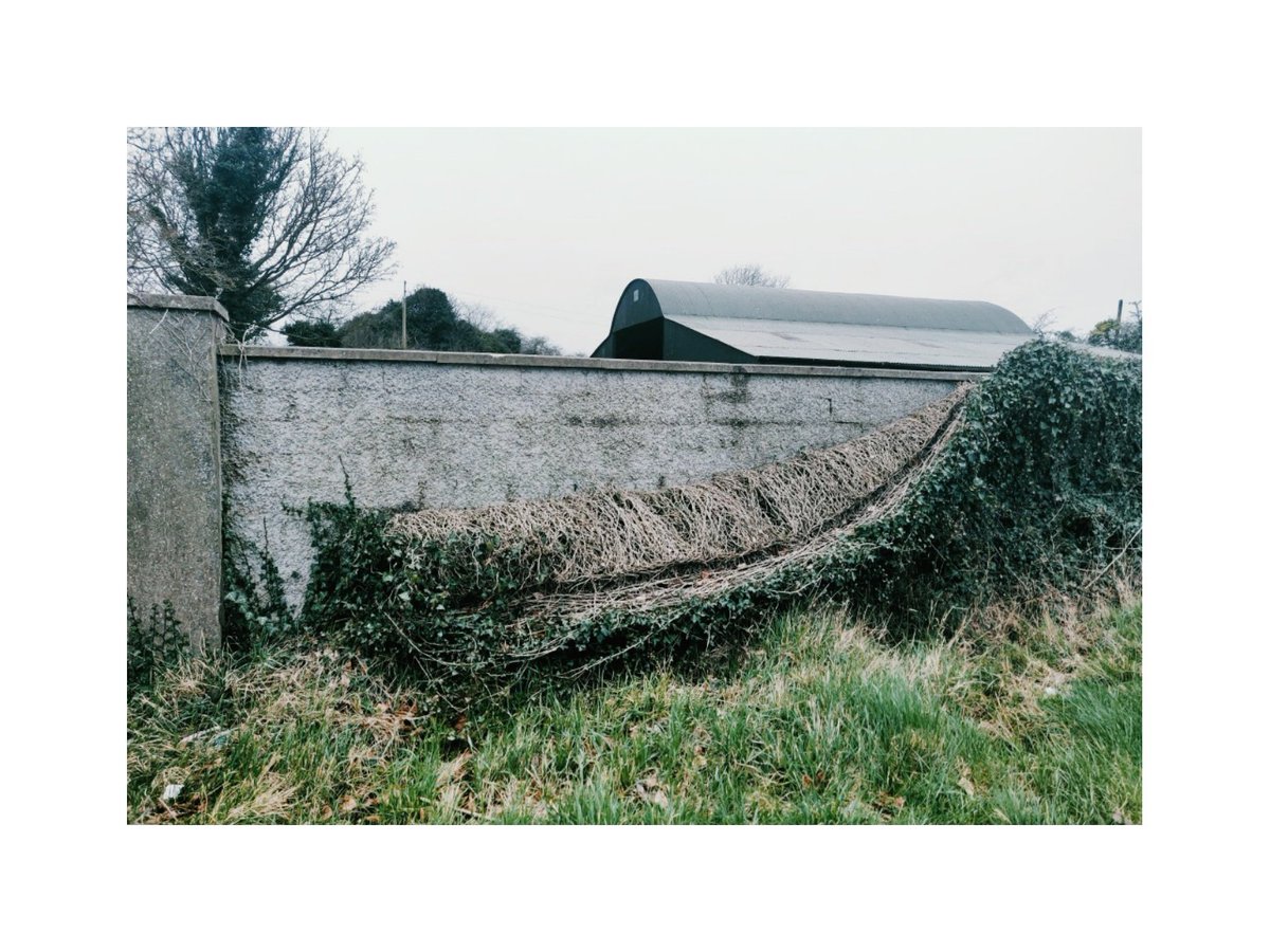 BMPHOTOME's tweet photo. Showing just a little more wall than socially accepted... Dirty...
#drogheda #piltown #meath #barewalls #wittyhashtag https://t.co/gws0ZvsdwI