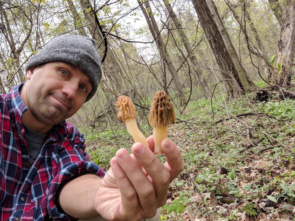 CharlesWieand's tweet image. Name that mushroom....go...