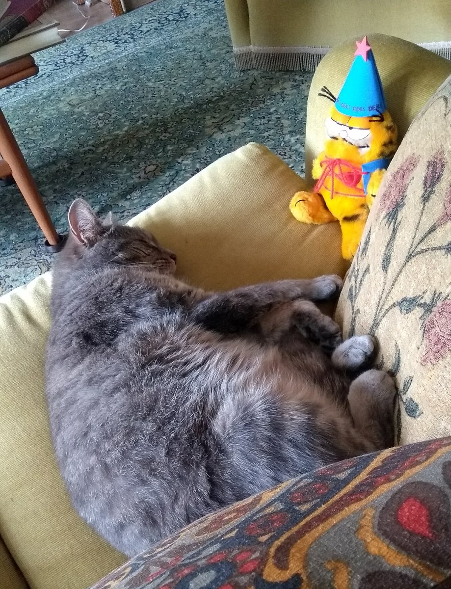 BeansOfDanger's tweet photo. Save Your Self Ill Hold Him Back
#garfieldthedealswarlock https://t.co/kYVUg1a2jD