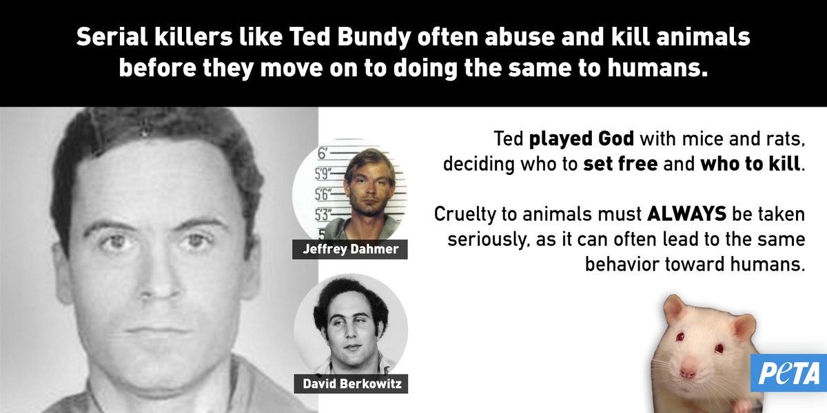 PETA on Twitter: PETA on Twitter:
