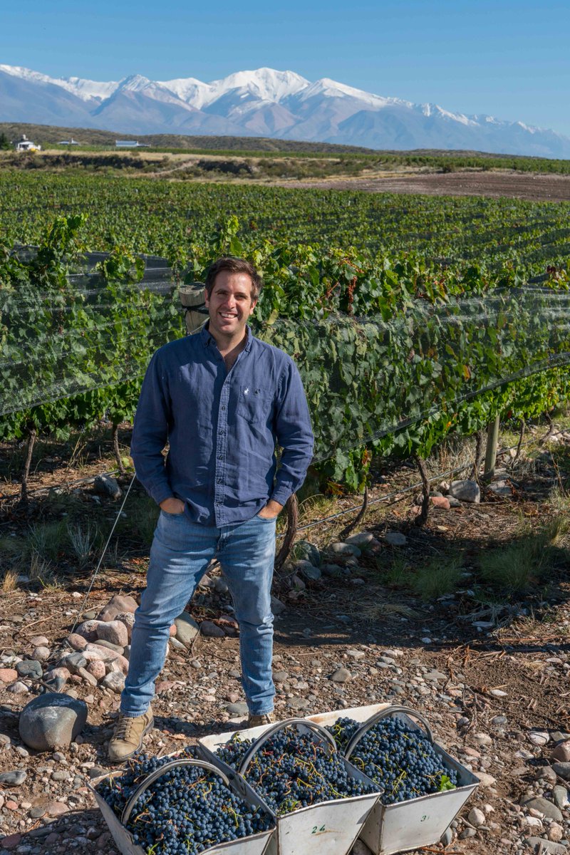 José Lovaglio Balbo of <a href="/sbalbowines/">Susana Balbo Wines</a> discusses entering and working outside the family business, benefits and challenges he's faced, his vision for future generations, and maintaining his legacy via <a href="/guildsomm/">GuildSomm International</a> and <a href="/bryceonwine/">Bryce Wiatrak</a>. <a href="/joselovaglio/">jjlovaglio.eth</a> guildsomm.com/public_content…