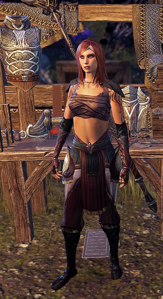 Okay...can't decide which shoulders I like best with this outfit. Imperial (#1) or Prophet's (#2)...
#ElderScrollsOnline
#FashionDilemma