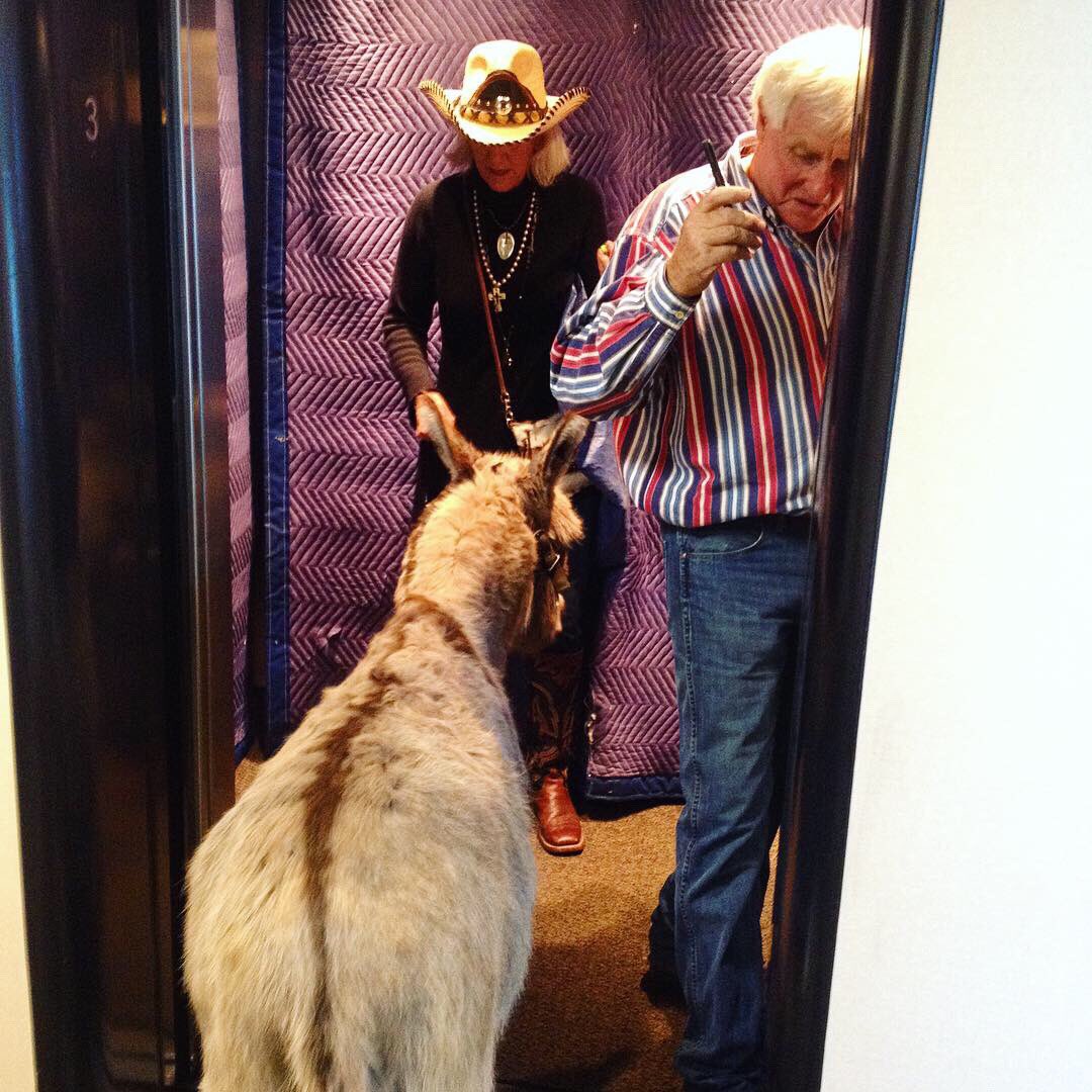 In honor of #CincoDeMayo on Sunday, we're throwing it back to our most epic party celebrating the holiday and our 3rd anniversary. Can you believe we turn 7 this year? Time flies when you're having fun! #FlashbackFriday