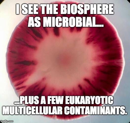markowenmartin's tweet photo. #MicrobialTruth @univpugetsound @ASMicrobiology https://t.co/rNmMgjSER9