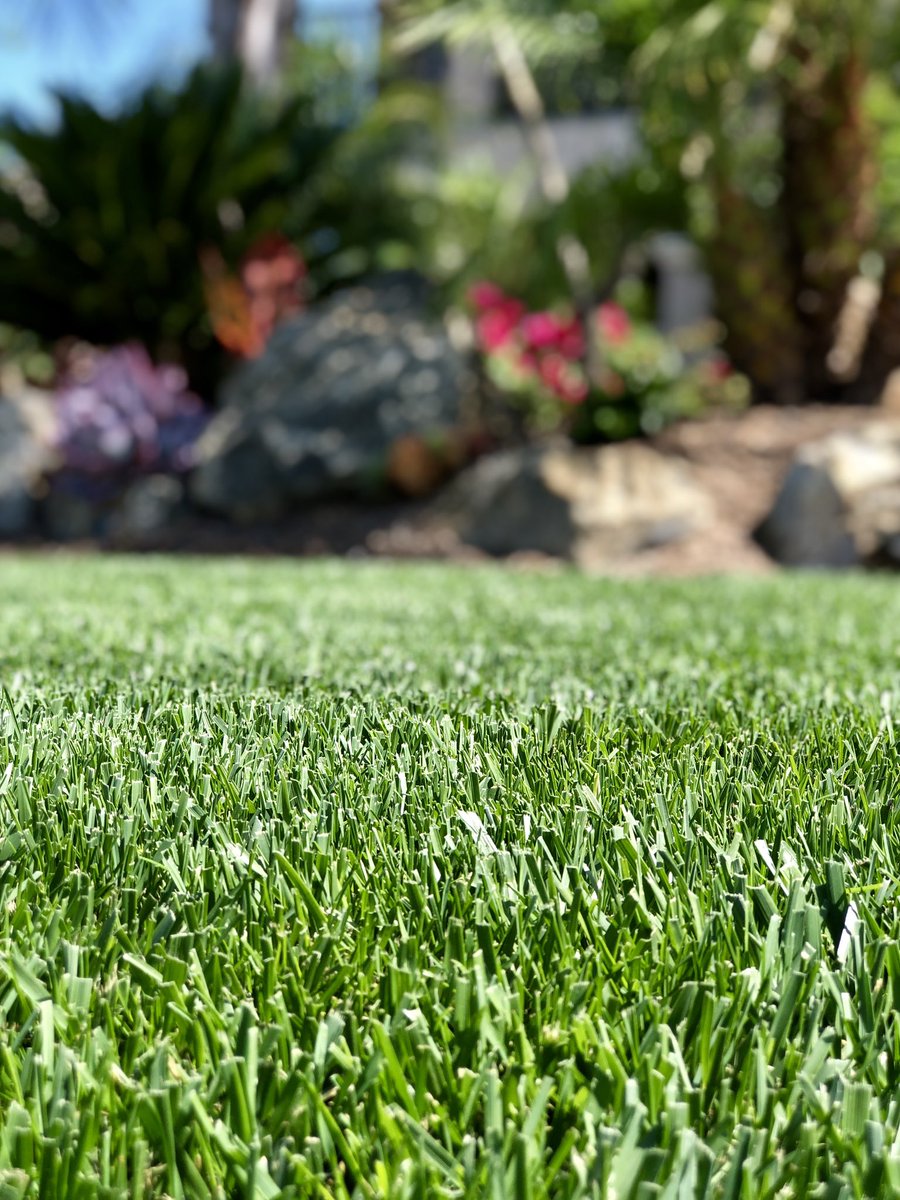 ZachKuenzi's tweet photo. A little #TurfSaverRTF grass therapy this morning!  You got to love Spring with gorgeous @BarenbrugUSA grass and a blooming landscape!! #OftenImitated #NeverDuplicated @RTF_Sod #PlantALegacy https://t.co/ljiX5gTXQy