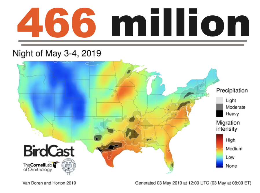 DrBirdCast's tweet photo. 🚨 Tomorrow’s the #GlobalBigDay. Tonight we expect as many as 466 million birds to shuffle across the skies of the US. Submit an @Team_eBird checklist tomorrow to let us know what you see! Happy birding from the BirdCast crew! #Birding | #Ornithology https://t.co/uu0APHRfgU