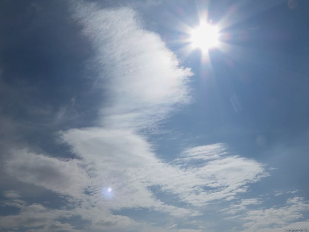 beingmyself_25's tweet image. 02.05.2019 at 2:40 pm
#Chemtrail #ArtificialClouds #SprayedLikeBugs #Skygazer