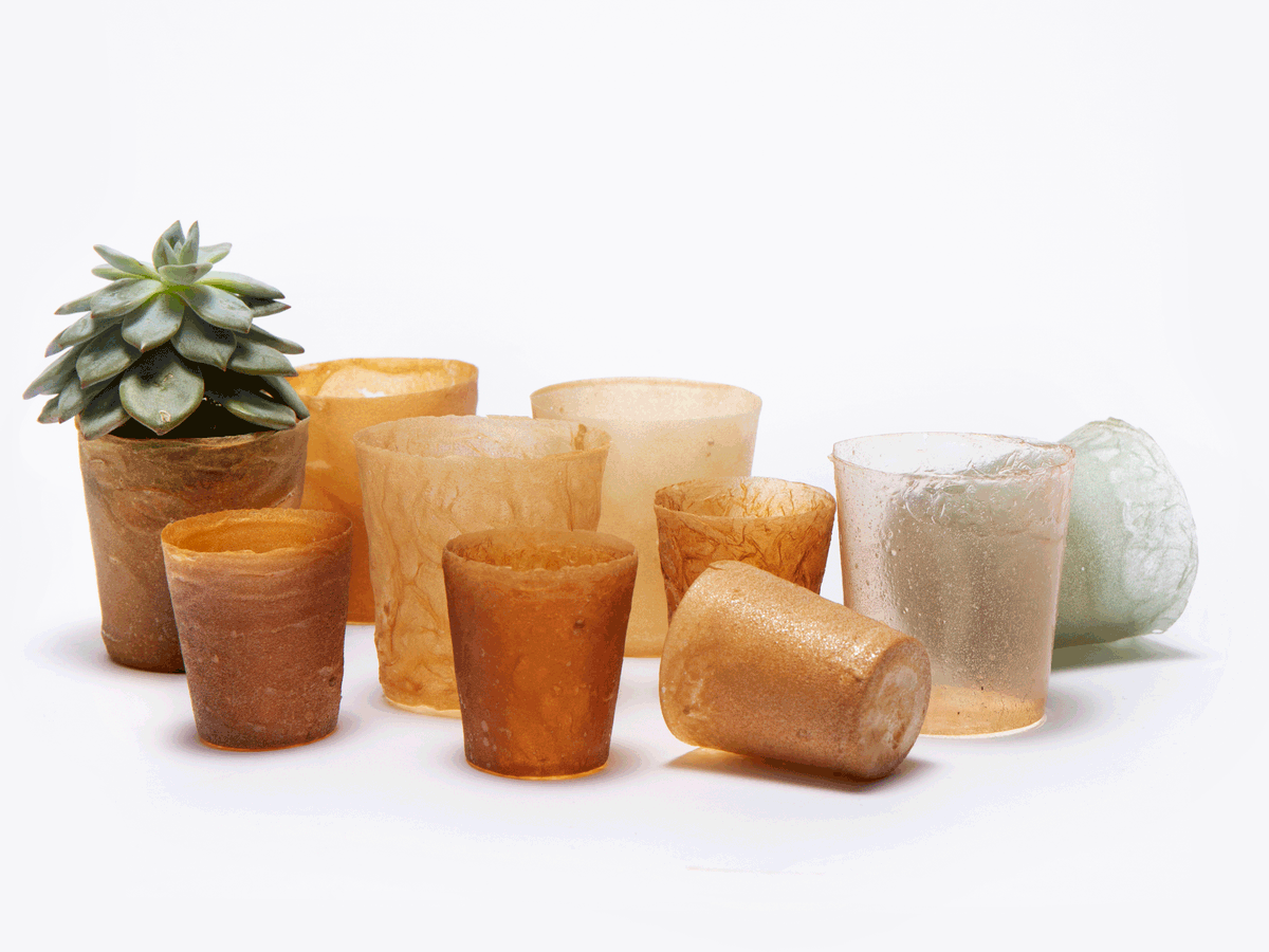 globalwakecup's tweet image. Making biodegradable single-use plastic from discarded lobster shells. Genius idea! 💡
@RCA @imperialcollege 
#shellworks #zerowaste

ow.ly/ntR950tX5ZK