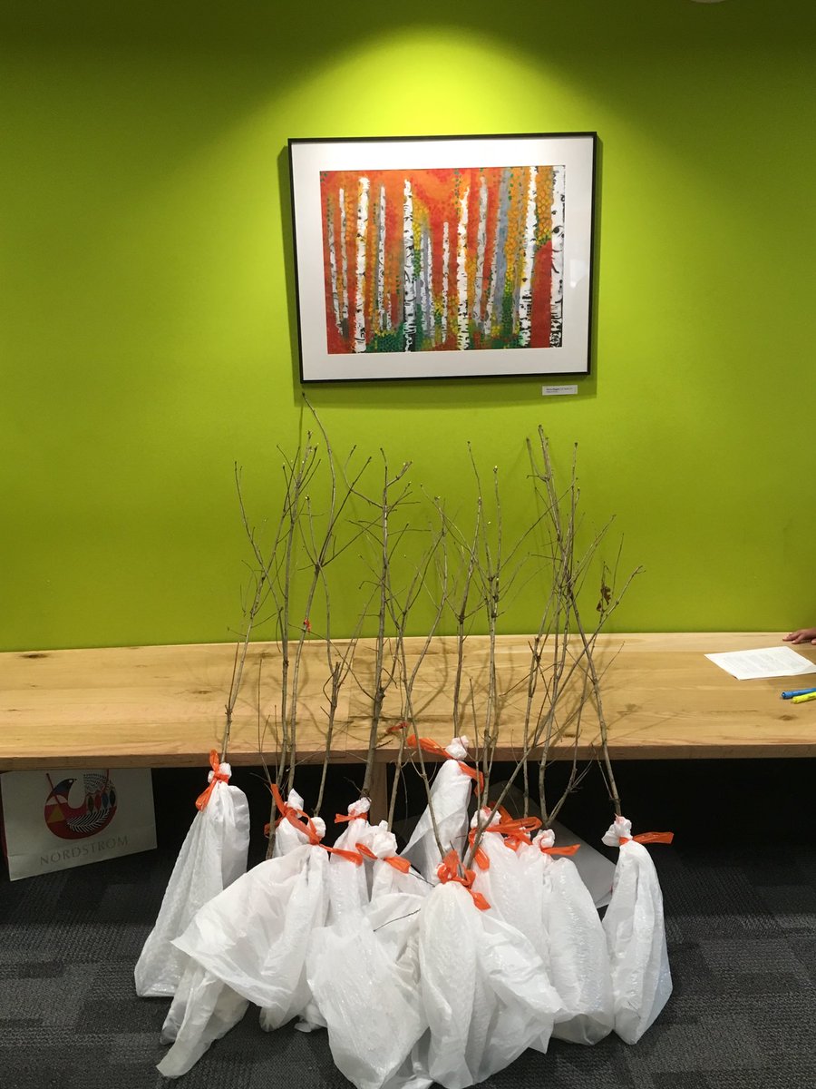 jhudsn's tweet photo. Just a few of the 100 saplings US PDSustainability Club is handing out to members  @ProvidenceDay community.  Students who plant one of these trees are caring for something that can still be around in their great-great-grandchildren’s lifetimes! #pdschargers #pdsgivesback https://t.co/q5UIKoAR83