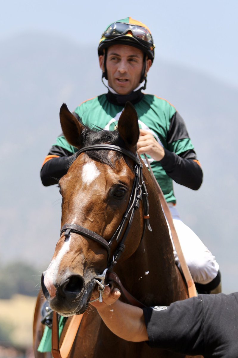 SA Press Box tweet media