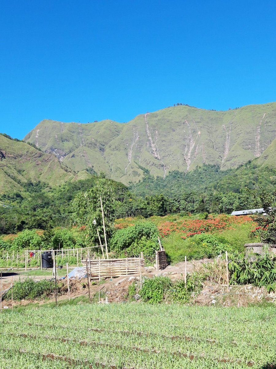 HananYusron's tweet photo. #SEMBALUNESIA
#Sembalun Lombok Timur,NTB.
#AyoKeLombok
#NTBBangkit
#NTBGemilang
Foto2 by #AHYA81
@GNFI @RadioDakta @insidelombok_ @InsideMataram @DASILOBAR https://t.co/FeZCcpVsj2