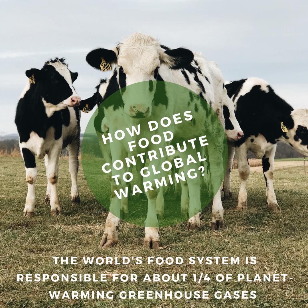 ResilientOAHU's tweet photo. What do #cowburps, rice paddies, + container ships have in common?
They produce #greenhousegas. #Eatlocal + eat your veggies to take #climateaction with #foodforclimate! https://t.co/TYdW9JR03a