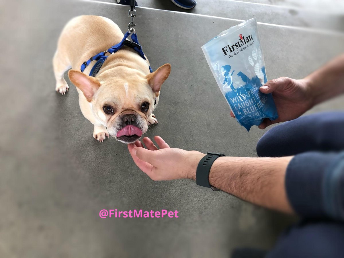 first mate dog treats