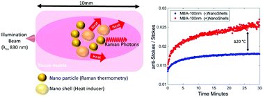 profnickstone's tweet photo. Direct monitoring of light mediated hyperthermia induced within mammalian tissues using surface enhanced spatially offset Raman spectroscopy (T-SESORS) @RealDrBGardner @UoE_Physics @UofE_Research @STFC_Matters published open access @analystrsc today #RamanNanotheranostics #RaNT https://t.co/XtTGsPXsuP