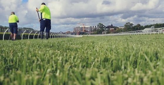 #Kensington track update @royalrandwick Track rating - Soft 5 Rail - True Peno- 4.90 Irrigation last 24hrs- Nil Irrigation last 7 days - 4mm Rainfall last 24hrs - 8.8mm Rainfall last 7 days - 9.8mm