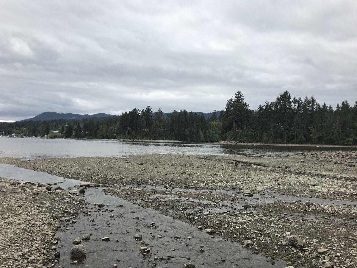 AlexKellar94's tweet photo. Exploring more ways to bring the classroom outside with a super awesome group of teachers #sd79learn #maydayprod https://t.co/MK3adFRKFV