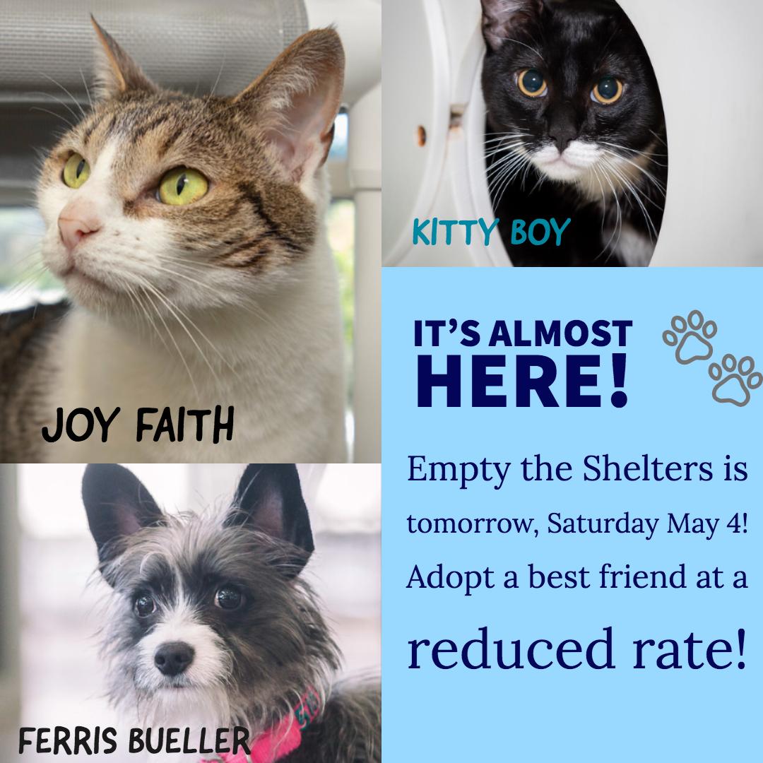 Berkeley Animals tweet media
