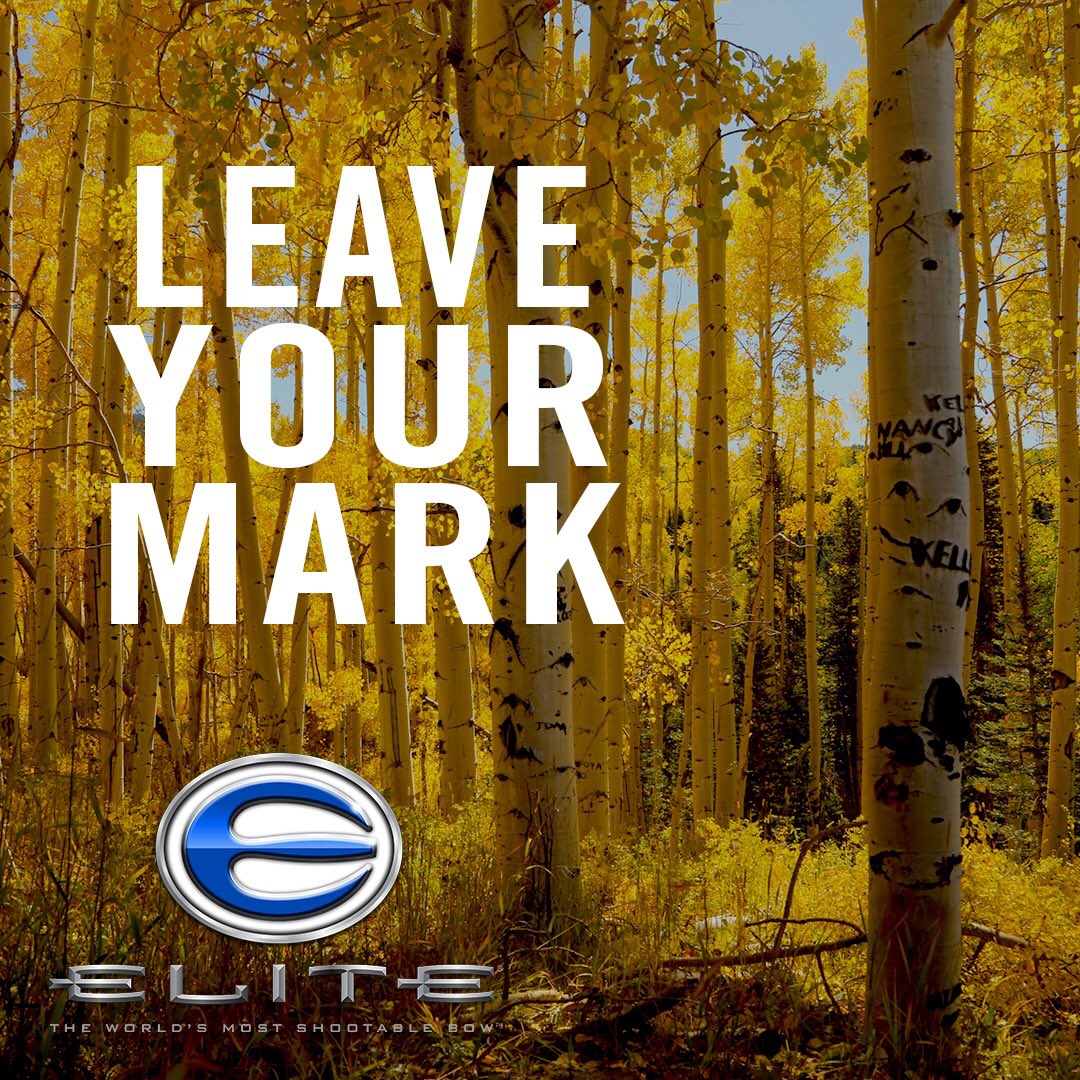 bowtech5283's tweet image. Don't bother following where the path may lead. Instead, head out where there is no path and leave a trail. 
@elitearchery 
·
·
·
#bowhunting #hunting #bowhunt #bowhunter #hunter #hunt #bowhunter4life #deerhunting#Shootability #Elitevalor #