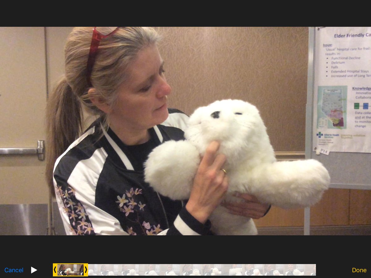 Today at #CGNA2019 I got to meet a VIP - “Paro”! 
Thanks for bringing him <a href="/nurselillian/">Dr. Lillian Hung 🇨🇦</a>.