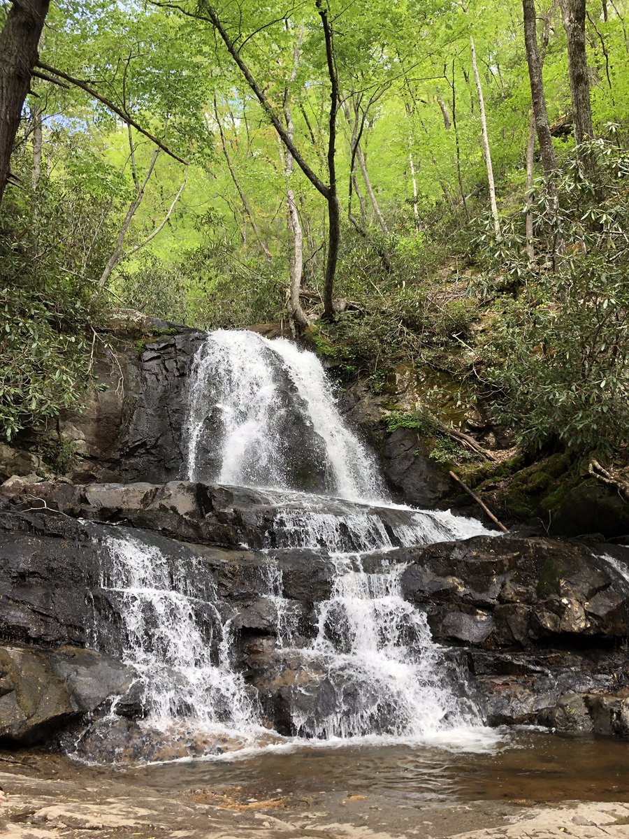 ArtSolutionsInk's tweet image. Photographer at Work! Laurel Branch and the 80-foot high Laurel Falls are named for mountain laurel, an evergreen shrub which blooms along the trail and near the falls in May. Laurel Falls is one of the most popular destinations in the #SmokyMountainsNationalPark.