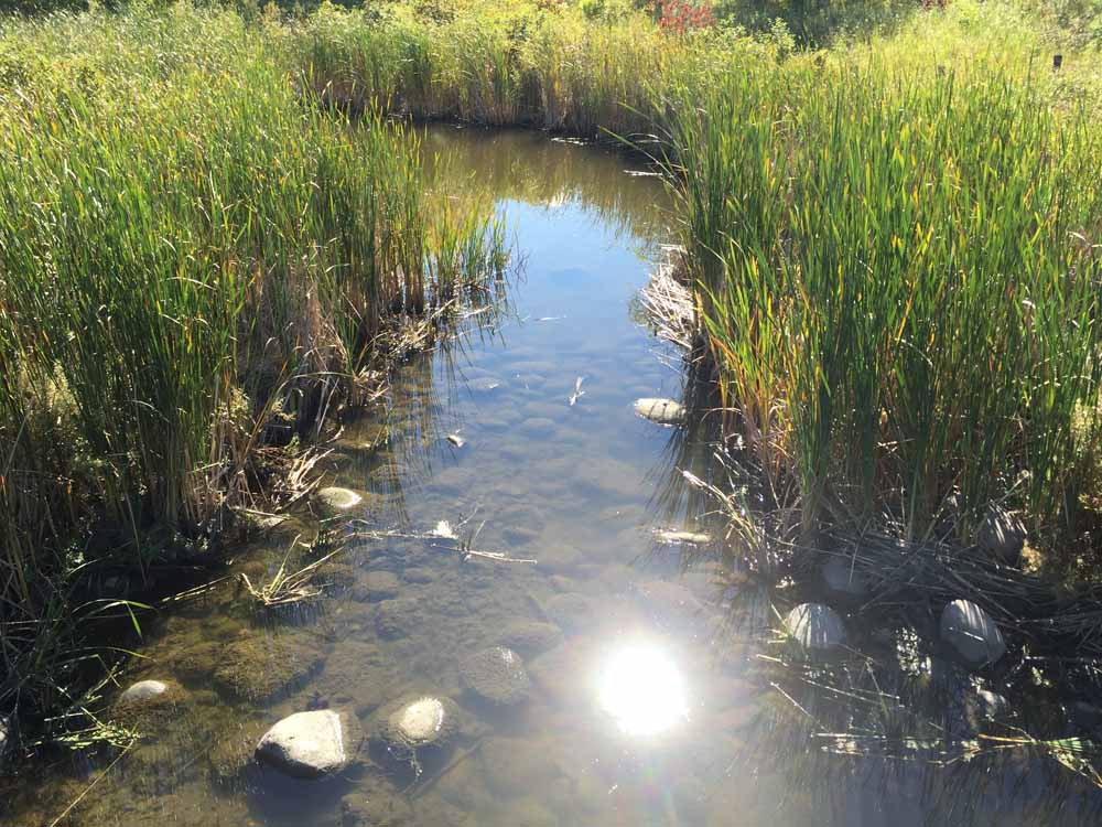 New in JEQ - Hydrological and Seasonal Controls of #Phosphorus in Northern Great Plains Agricultural Streams dx.doi.org/10.2134/jeq201… #openaccess <a href="/NoraCasson/">Nora Casson</a> <a href="/Shiggin1/">Steph Higgins</a> <a href="/uwinnipeg/">UWinnipeg</a> <a href="/AAFC_Canada/">AAFC Canada</a>