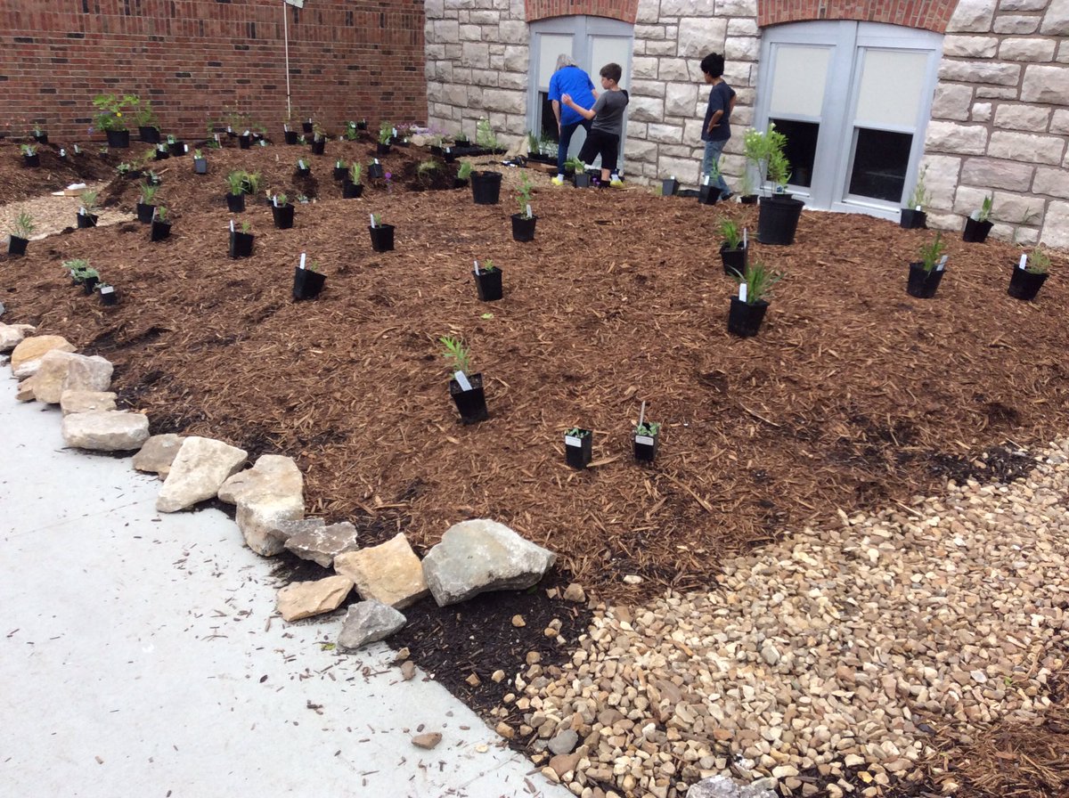 mkuensti's tweet photo. @GrantAllStars @grant_media what a great collaboration of people and time today! @CoMoGov special thanks to Mrs Fox and Ms Burnett for helping pull this project together and to 5th graders who provided the muscle! From piles of compost to native garden. #PBL https://t.co/USTy8eMYnK