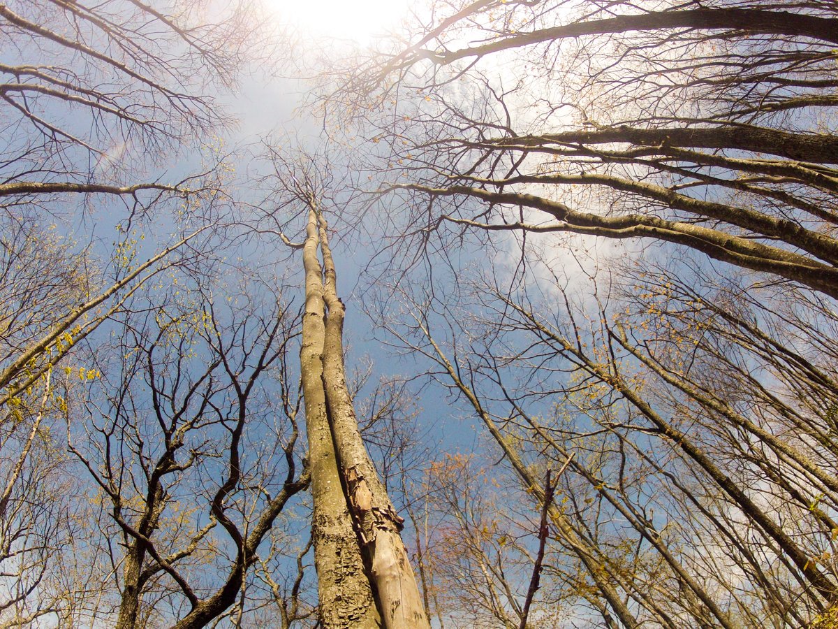 creek_mountain's tweet image. "Aim for the sky, but move slowly, enjoying every step along the way. It is all those little steps that make the journey complete."
#alwaysadventuring #optoutside