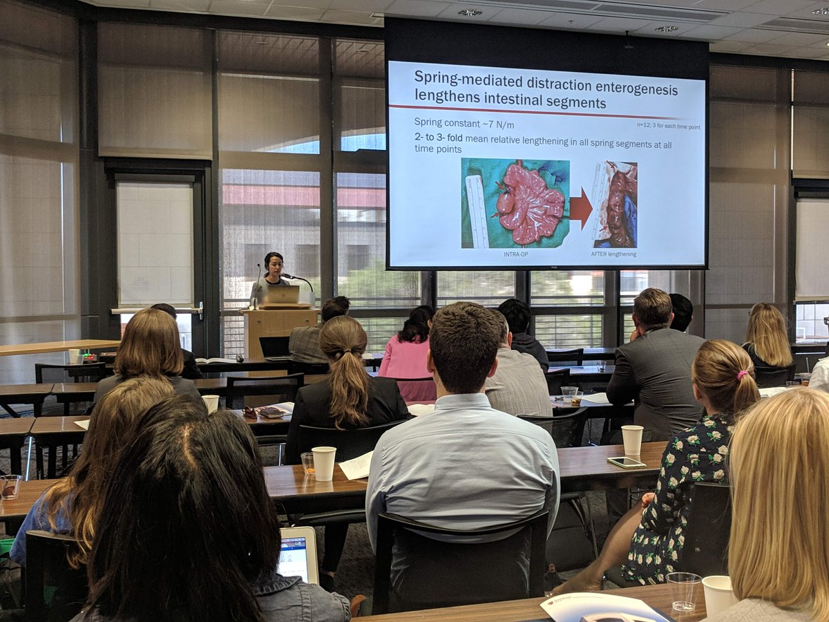 Research Fellow Lauren Wood presents research done in Dr Dunn's lab, "Effects of spring-mediated distraction enterogenesis on porcine small intestinal layers"  at #Holman19, and found 2 to 3 fold lengthening of the intestine. Working to improve #sbs outcomes