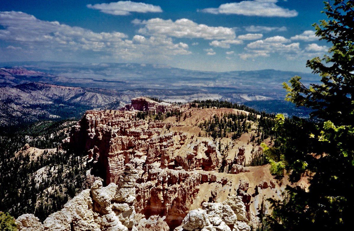 SuzeWilson3's tweet photo. #BryceCanyon #Utah
“I find myself in the #sunshine and my dreams”
#LookingForSpace #JohnDenver
#findyourpark https://t.co/6H5dfO4MOQ