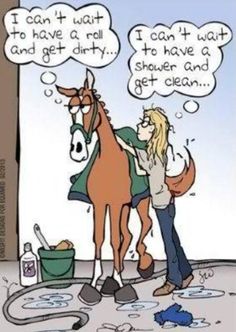 Equaide's tweet image. 😂😂😂 #Equine #Canine #Healing #Livestock