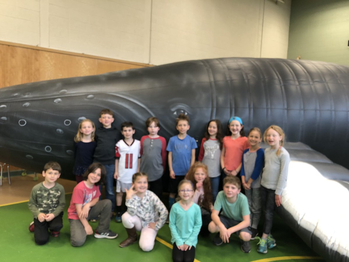 Sandy Ragan (@mrssragan) on Twitter photo What a fabulous time we had learning about whales! <a href="/stewardstarsttu/">Steward School</a> #TTUChat What a fabulous time we had learning about whales! <a href="/stewardstarsttu/">Steward School</a> #TTUChat