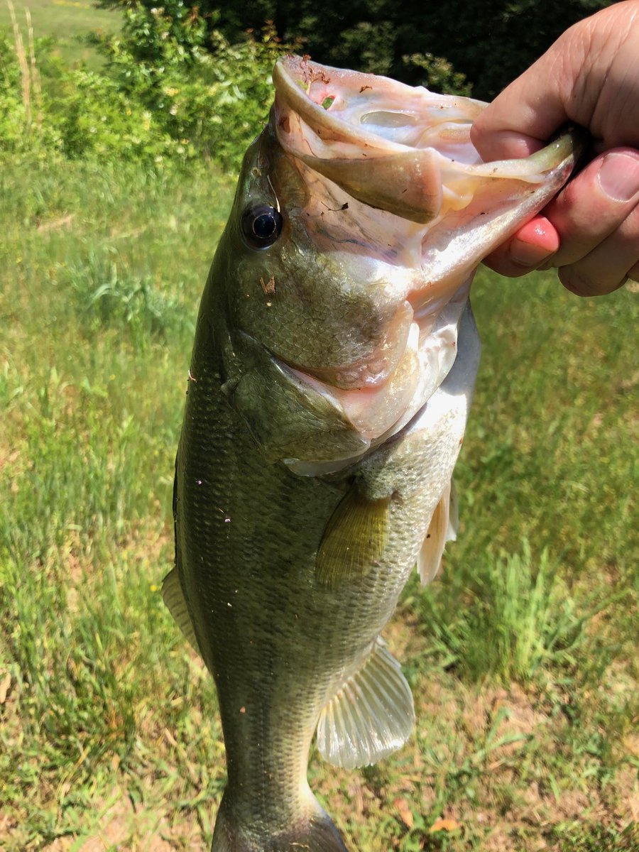 CoachJohnBond's tweet photo. The boys were biting today. #JerkinLips https://t.co/C7rluz4Mvz
