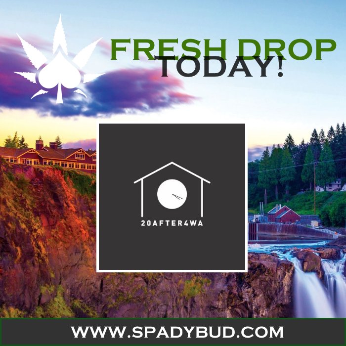 We're headed to #20After4 (#Longview) for a #FreshDrop TODAY, so stop in for your fav #SpadyBud strain!

#BestQualityGardens #BQGardens #BQG #Cannabis #Marijuana #Weed #Kush #Ganja #MaryJane #Hemp #Pot #PacificNorthwest #PNW #WashingtonState #Washington #WA #i502 Compliant.