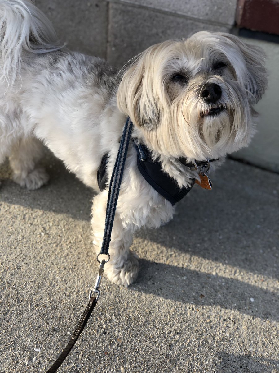 JHavanese's tweet photo. Hi Everyone, We’ve missed you all!!!! Mommas been very very busy and hasn’t done any social media stuff in a long time. ❤️❤️❤️ https://t.co/F8NquVVbSz