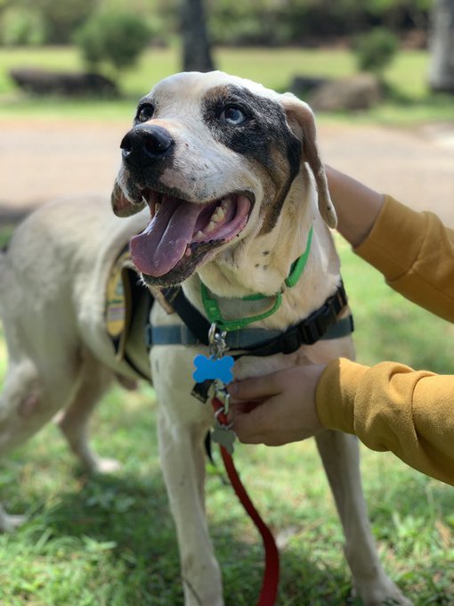 Watch Mia Malkova's leaked NSFW photo on TwXstars