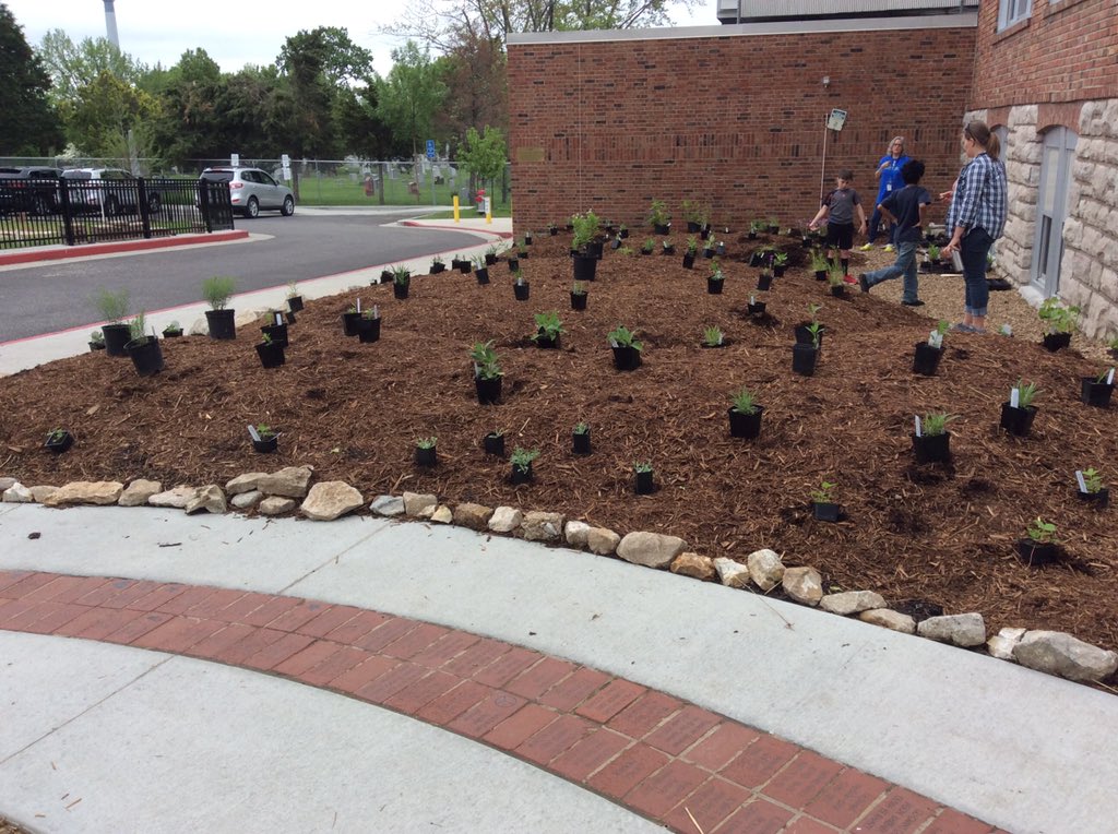 Szydlowskim's tweet photo. @GrantAllStars 5th grade clearly wins the Blue Ribbon (or GREEN ribbon) today! They also created this native plant garden today.    This is in addition to their recycling picketing on Broadway, trash audit, and rain garden building.  Simply amazing!!! @PStieple @BarbaraBuffaloe https://t.co/J1aiaAh6eb