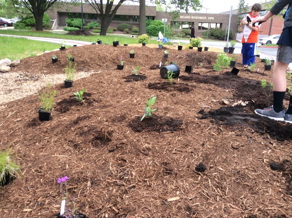 Szydlowskim's tweet photo. @GrantAllStars 5th grade clearly wins the Blue Ribbon (or GREEN ribbon) today! They also created this native plant garden today.    This is in addition to their recycling picketing on Broadway, trash audit, and rain garden building.  Simply amazing!!! @PStieple @BarbaraBuffaloe https://t.co/J1aiaAh6eb