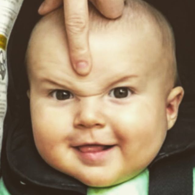 mike2flynn's tweet photo. Can’t think of a good caption. But lol... https://t.co/75HDMd7VCn https://t.co/vaO9tASRe2