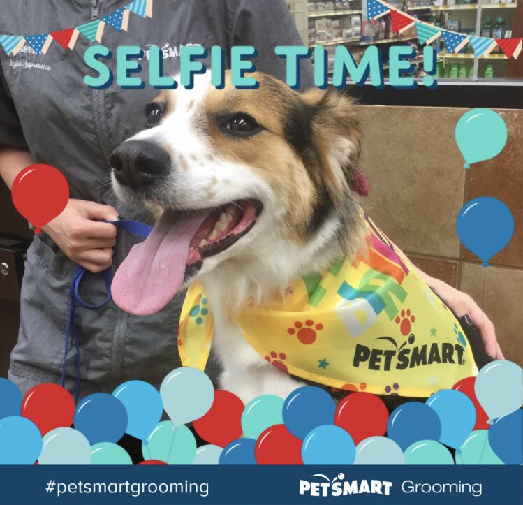Went to Petsmart for my #birthday #spaday and got this awesome bandana!